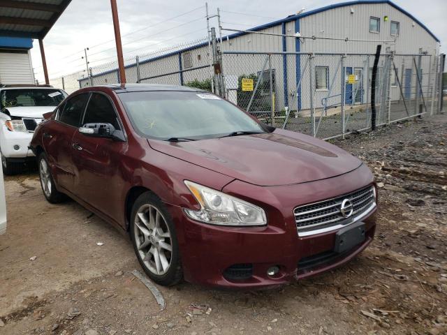 NISSAN MAXIMA S 2010 with VIN 1N4AA5AP7AC815716 - Photo from auction