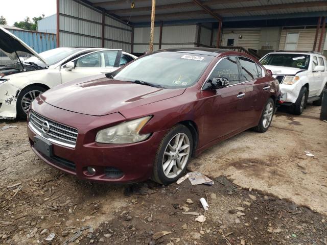 Photo 2 from auction – 2010 NISSAN MAXIMA S with VIN 1N4AA5AP7AC815716