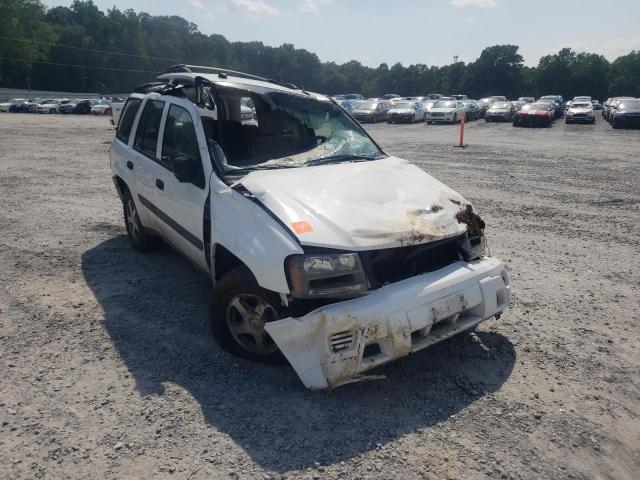 CHEVROLET TRAILBLAZE 2005 with VIN 1GNDS13S452146919 - Photo from auction
