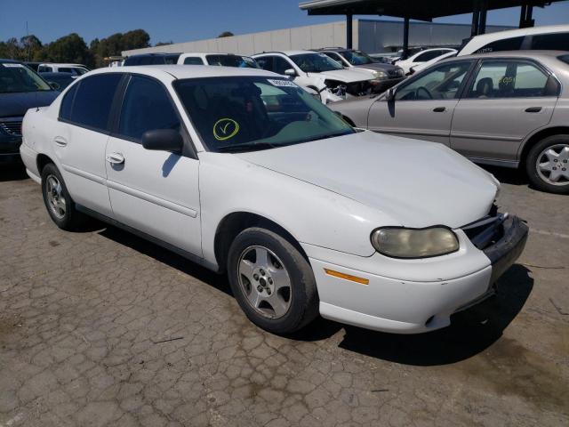 CHEVROLET CLASSIC 2005 with VIN 1G1ND52F85M234095 - Photo from auction
