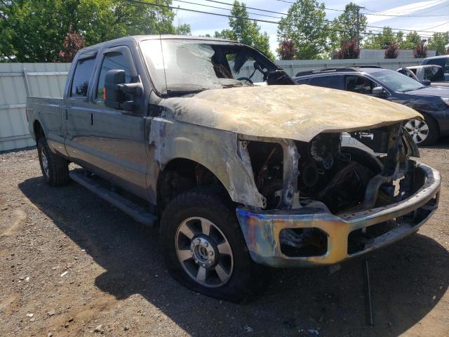 FORD F250 SUPER 2014 with VIN 1FT7W2B63EEA73495 - Photo from auction