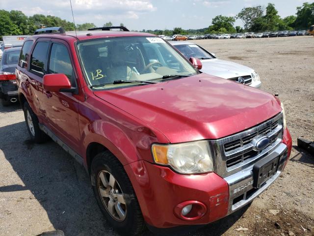 FORD ESCAPE LIM 2009 with VIN 1FMCU04G79KB14549 - Photo from auction