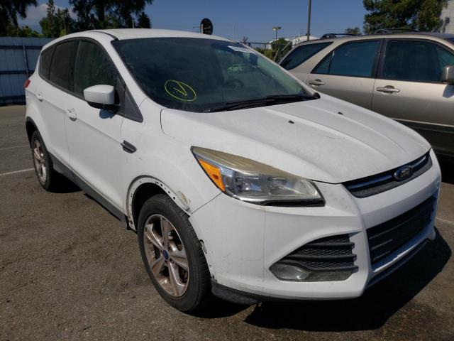 FORD ESCAPE SE 2013 with VIN 1FMCU0GX2DUC55179 - Photo from auction