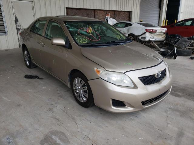 TOYOTA COROLLA BA 2010 with VIN 2T1BU4EE8AC372993 - Photo from auction