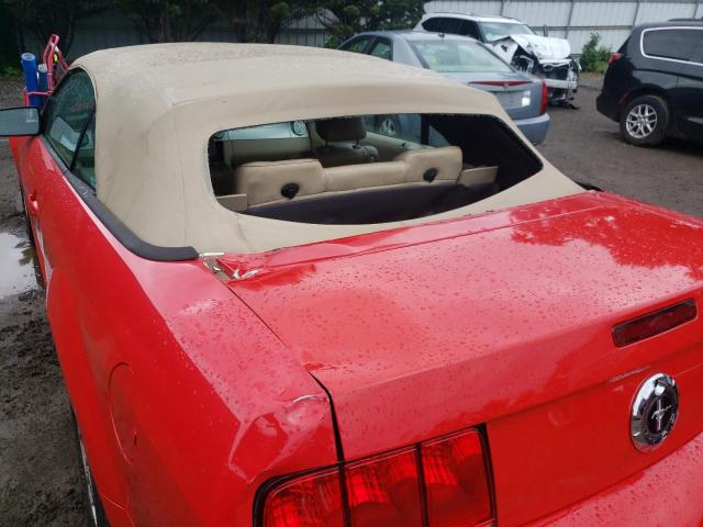 Photo 9 from auction – 2006 FORD MUSTANG with VIN 1ZVHT84N565103289