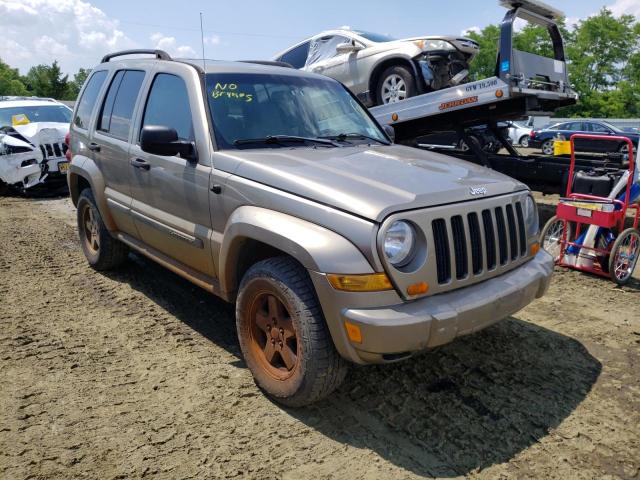 JEEP LIBERTY 2005 with VIN 1J4GL38KX5W669646 - Photo from auction