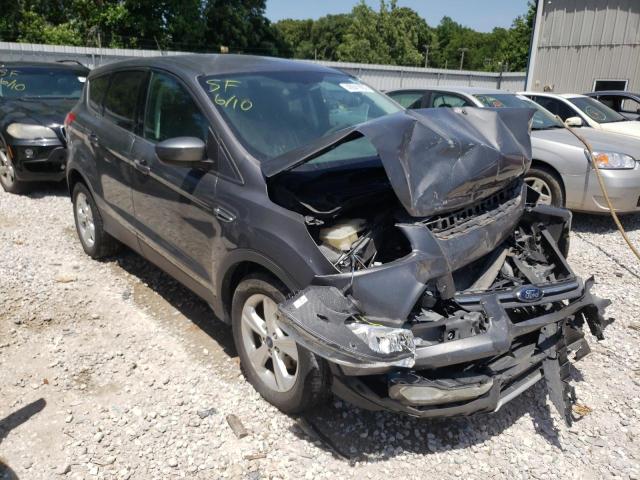 FORD ESCAPE SE 2014 with VIN 1FMCU0GXXEUB10022 - Photo from auction