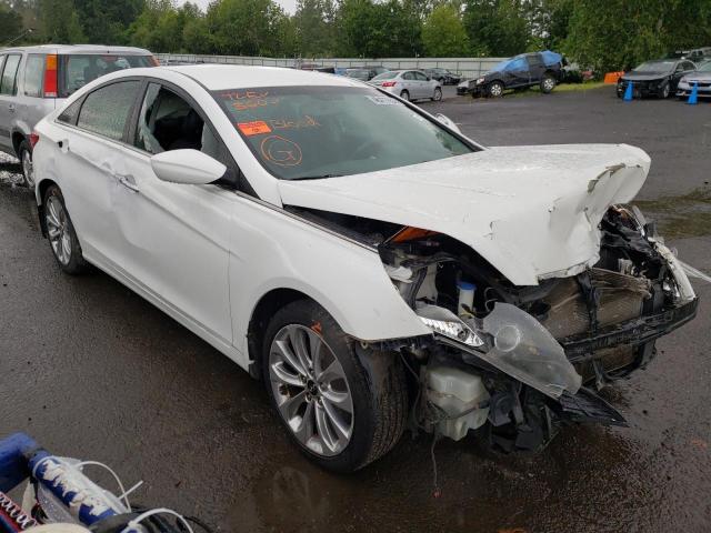 HYUNDAI SONATA SE 2013 with VIN 5NPEC4AC7DH731871 - Photo from auction