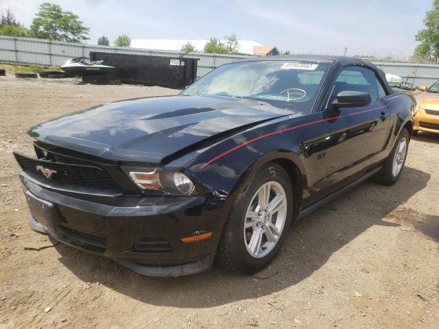 Photo 2 from auction – 2012 FORD MUSTANG with VIN 1ZVBP8EM0C5205319