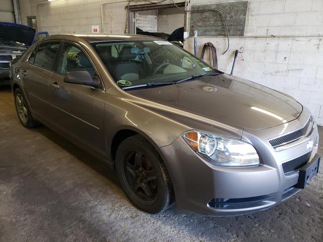 CHEVROLET MALIBU LS 2010 with VIN 1G1ZB5EB6AF218055 - Photo from auction