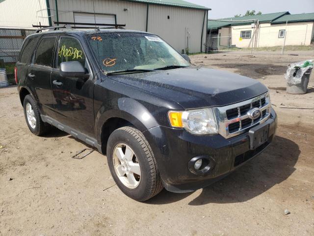 FORD ESCAPE XLT 2011 with VIN 1FMCU0DG5BKA33376 - Photo from auction