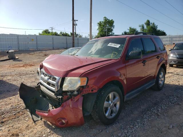 Photo 2 from auction – 2010 FORD ESCAPE XLT with VIN 1FMCU0DG8AKB08683