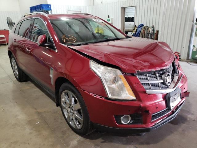 CADILLAC SRX PERFOR 2012 with VIN 3GYFNBE36CS567461 - Photo from auction