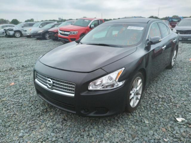 Photo 2 from auction – 2010 NISSAN MAXIMA S with VIN 1N4AA5AP1AC866127
