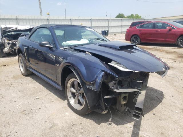 FORD MUSTANG GT 2002 with VIN 1FAFP45X42F181371 - Photo from auction