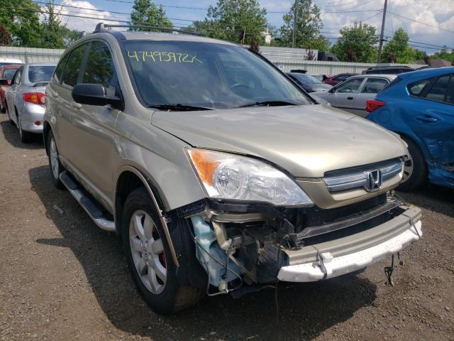 HONDA CR-V EX 2008 with VIN JHLRE48528C004564 - Photo from auction