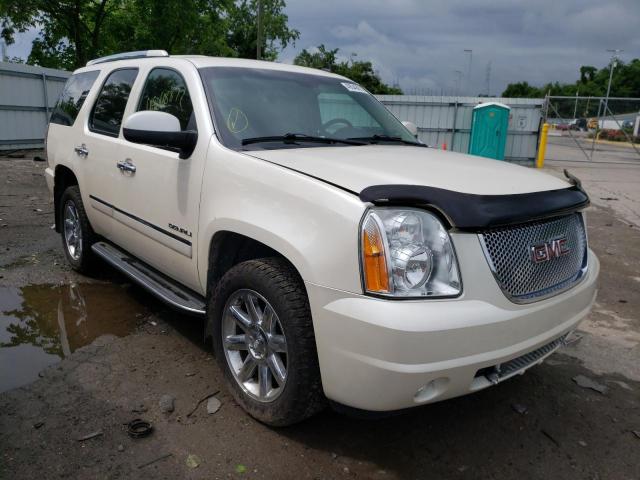 GMC YUKON DENA 2009 with VIN 1GKFK03269R296012 - Photo from auction