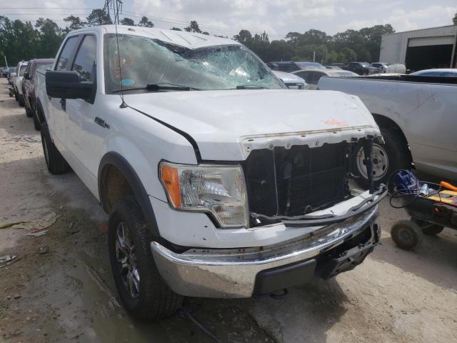 FORD F150 SUPER 2010 with VIN 1FTEW1E8XAFC87368 - Photo from auction
