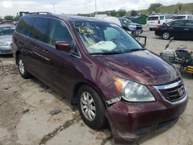 HONDA ODYSSEY EX 2008 with VIN 5FNRL38718B403323 - Photo from auction