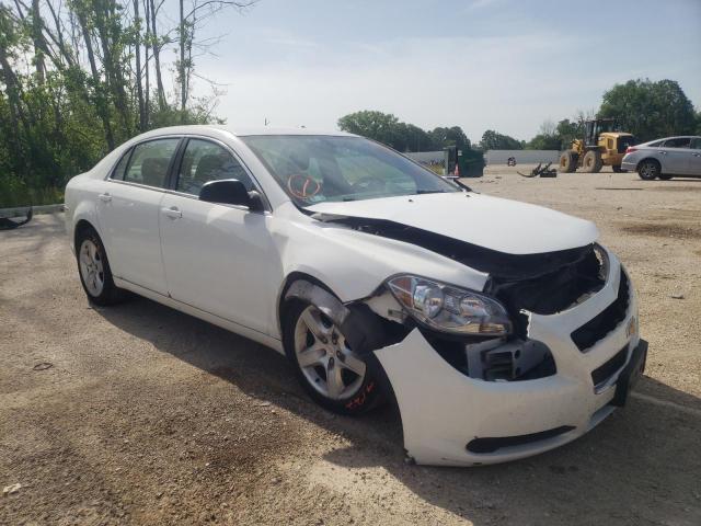 CHEVROLET MALIBU LS 2010 with VIN 1G1ZB5EB3AF230681 - Photo from auction