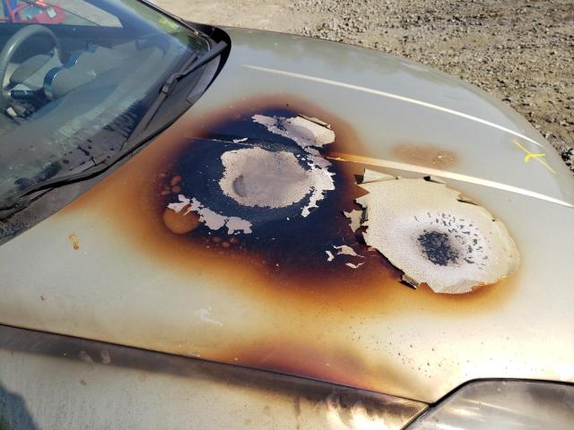 Photo 9 from auction – 2004 NISSAN MAXIMA SE with VIN 1N4BA41E74C873438