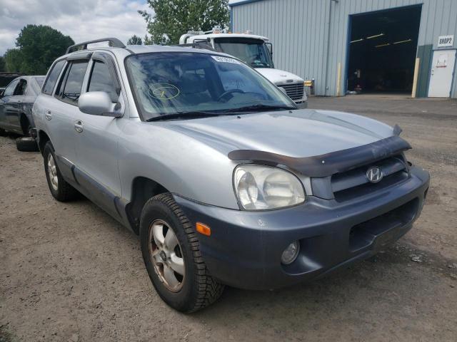HYUNDAI SANTA FE G 2005 with VIN KM8SC73E65U019101 - Photo from auction