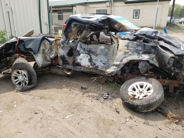 Photo 9 from auction – 2010 FORD RANGER SUP with VIN 1FTLR4FE3APA41714