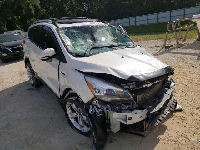 FORD ESCAPE TIT 2014 with VIN 1FMCU0J91EUA34846 - Photo from auction