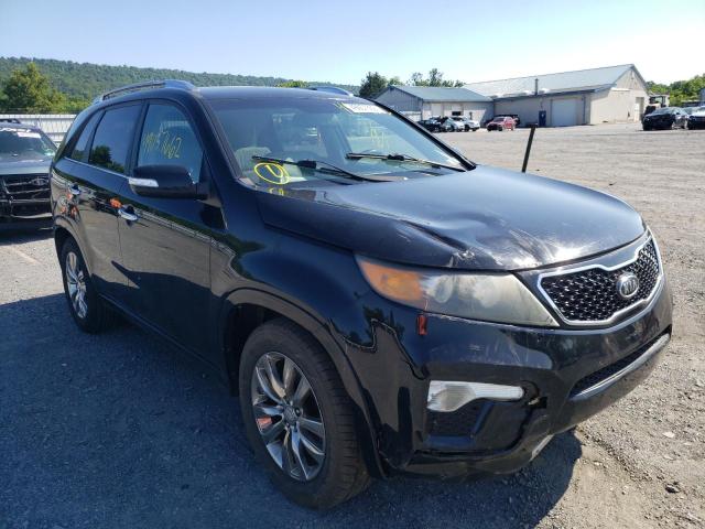 KIA SORENTO SX 2011 with VIN 5XYKW4A23BG092507 - Photo from auction