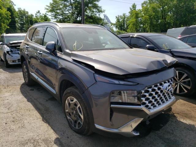 HYUNDAI SANTA FE B 2022 with VIN KM8S2DA14NU026419 - Photo from auction