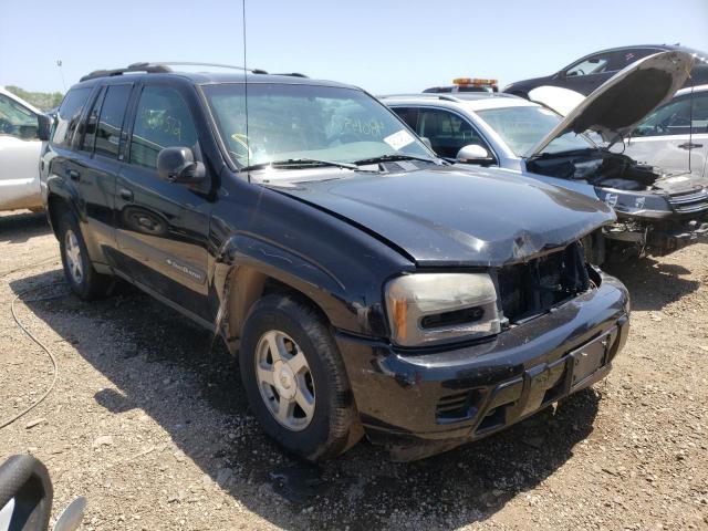 CHEVROLET TRAILBLAZE 2004 with VIN 1GNDT13S742270131 - Photo from auction