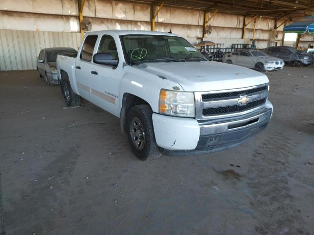 CHEVROLET SILVERADO 2009 with VIN 3GCEC13C09G205884 - Photo from auction
