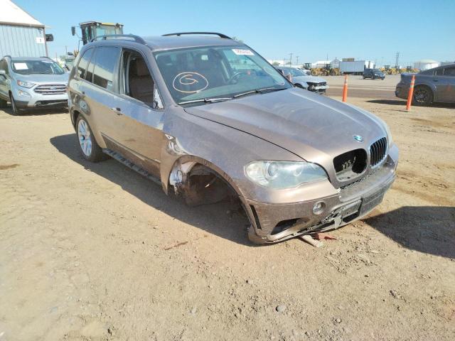 BMW X5 XDRIVE3 2011 with VIN 5UXZV4C5XBL407427 - Photo from auction