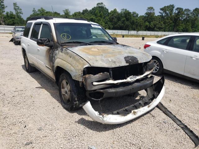 CHEVROLET TRAILBLAZE 2002 with VIN 1GNES16S026100184 - Photo from auction