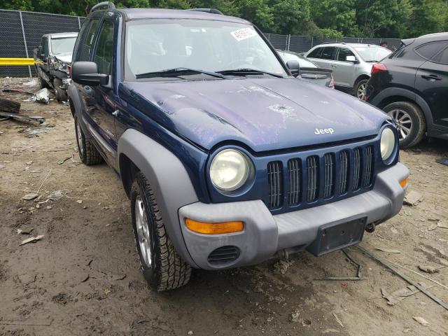 JEEP LIBERTY SP 2004 with VIN 1J4GL48K64W193948 - Photo from auction