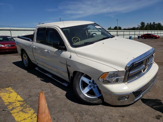 DODGE RAM 1500 2010 with VIN 1D7RV1GT8AS227379 - Photo from auction