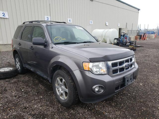 Photo 1 from auction – 2010 FORD ESCAPE XLT with VIN 1FMCU9D73AKA91215