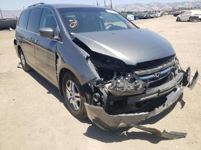 HONDA ODYSSEY EX 2007 with VIN 5FNRL38747B084823 - Photo from auction