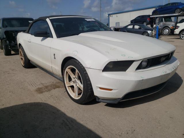 FORD MUSTANG 2012 with VIN 1ZVBP8EMXC5239509 - Photo from auction