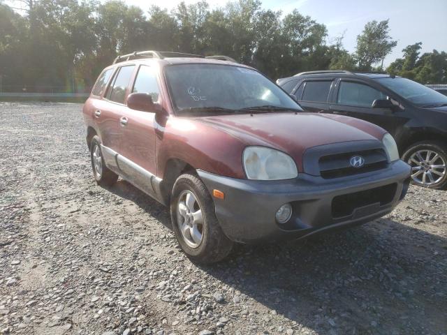 HYUNDAI SANTA FE 2005 with VIN KM8SC13E25U005404 - Photo from auction