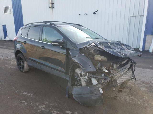 FORD ESCAPE SEL 2013 with VIN 1FMCU9H96DUB87263 - Photo from auction