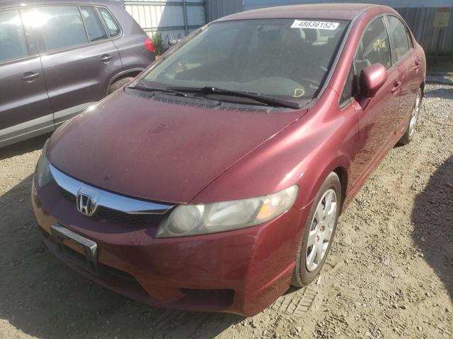 Photo 2 from auction – 2011 HONDA CIVIC LX with VIN 19XFA1F53BE008412