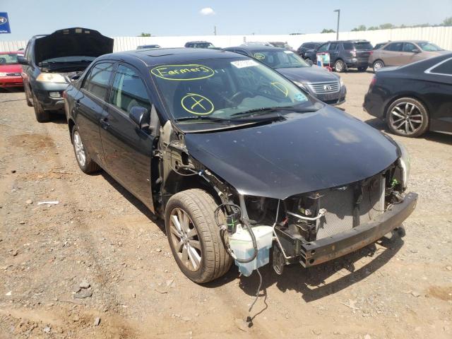 TOYOTA COROLLA BA 2010 with VIN 2T1BU4EE8AC254149 - Photo from auction