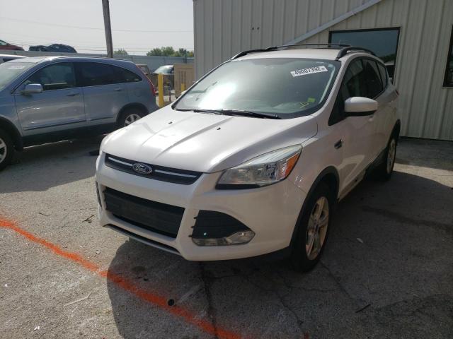 Photo 2 from auction – 2013 FORD ESCAPE SE with VIN 1FMCU0GX9DUD91227