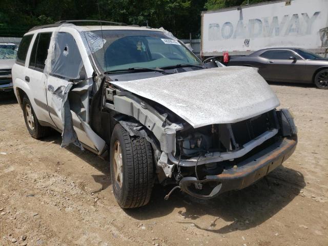 Photo 1 from auction – 2005 CHEVROLET TRAILBLAZE with VIN 1GNDS13S752376860