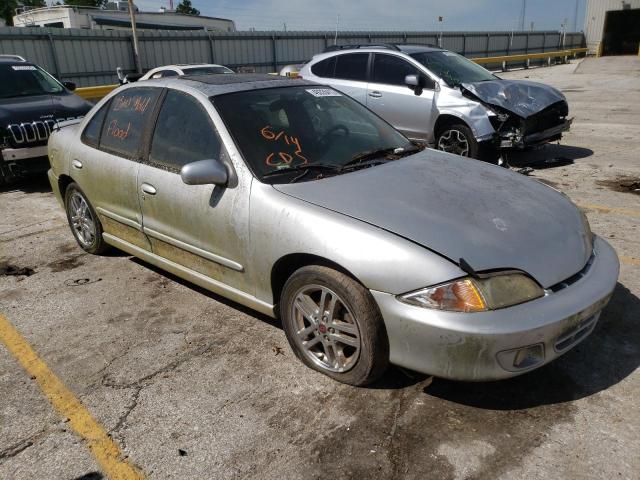 CHEVROLET CAVALIER L 2002 with VIN 1G1JH52F027446339 - Photo from auction