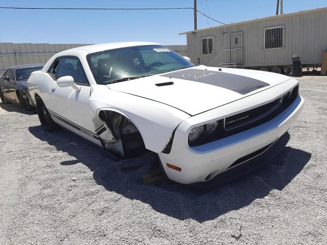 DODGE CHALLENGER 2013 with VIN 2C3CDYAG8DH510601 - Photo from auction