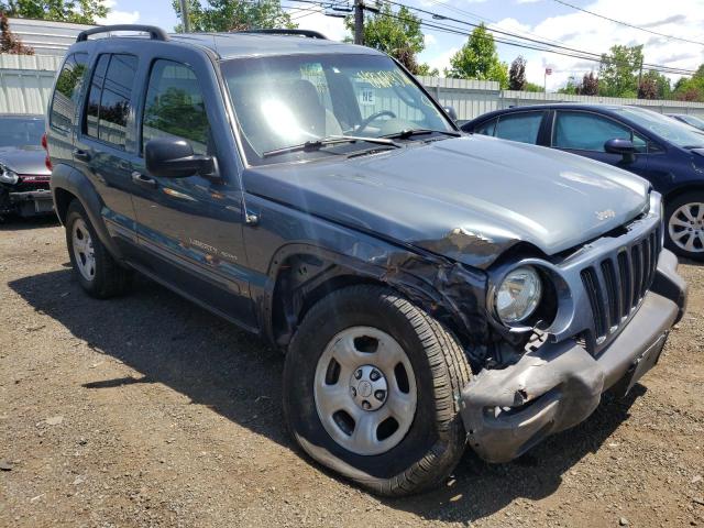 Photo 1 from auction – 2002 JEEP LIBERTY SP with VIN 1J4GL48K92W243206
