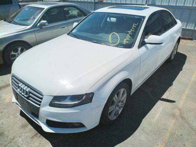 Photo 2 from auction – 2011 AUDI A4 with VIN WAUAFAFL3BN012270