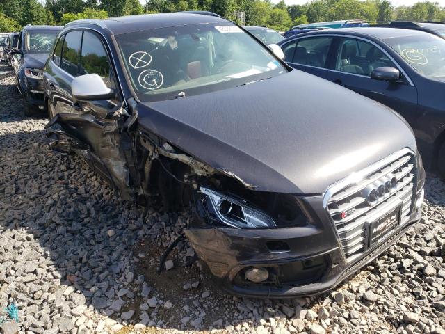 AUDI SQ5 PREMIU 2014 with VIN WA1CGAFP4EA085035 - Photo from auction